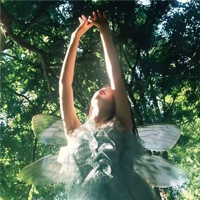 穿成恶毒女配每天被男主惦记