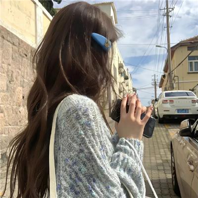 反收数特遣队国语