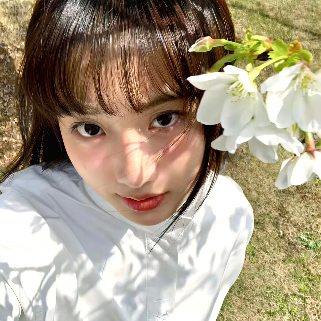 2009湖南卫视春节联欢晚会